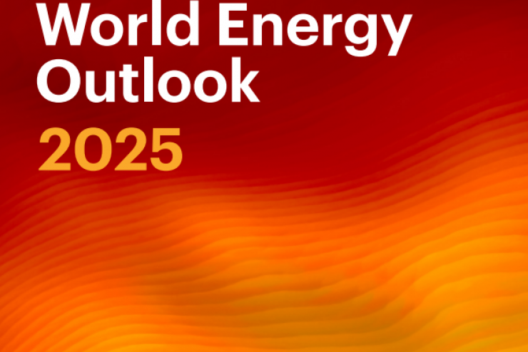 TRIỂN VỌNG NĂNG LƯỢNG THẾ GIỚI 2025: DẪN LỐI QUA KỶ NGUYÊN NĂNG LƯỢNG ĐẦY BIẾN ĐỘNG